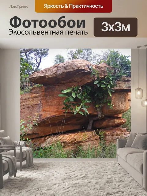 Фотообои фиговый душитель растущий камень