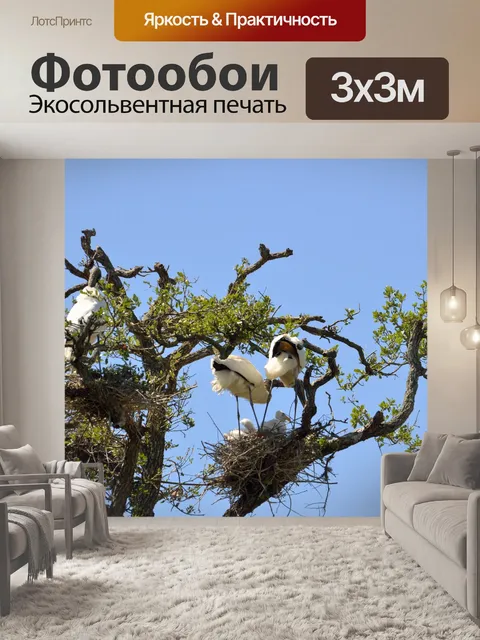 Фотообои Дерево Аисты Верстка