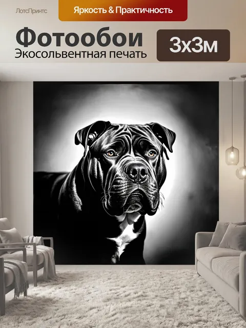 Фотообои высококонтрастное черно-белое изображение головы собаки шар-пей с глубокими тенями и яркими бликами