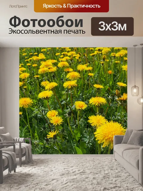 Фотообои Одуванчик цветок
