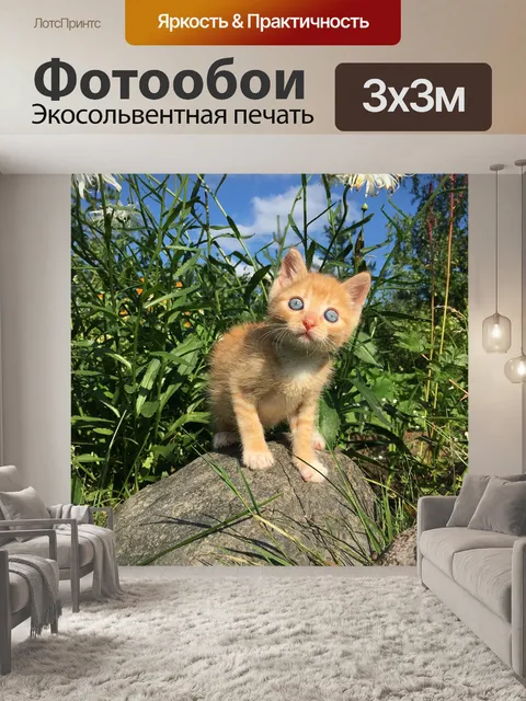 Фотообои Рыжий