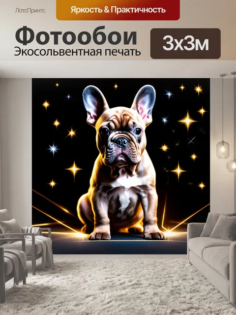 Фотообои Щенок французского бульдога