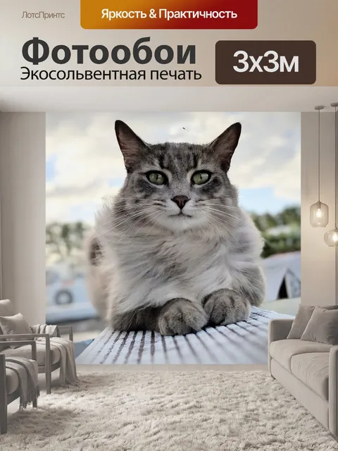 Фотообои Кошка