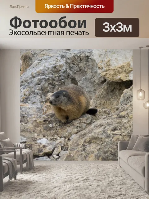 Фотообои Природа