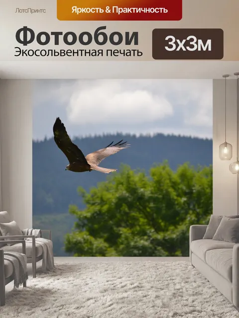 Фотообои Золотой орёл