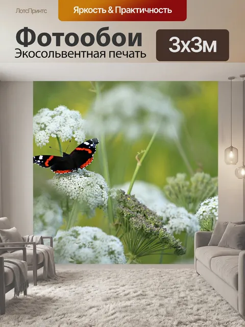 Фотообои Бабочка