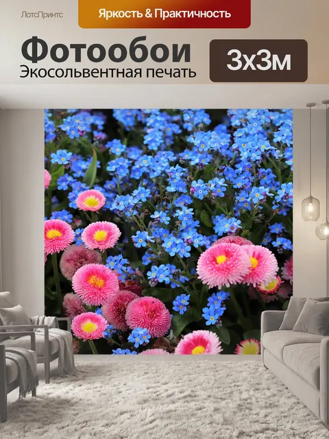 Фотообои Розовая маргаритка