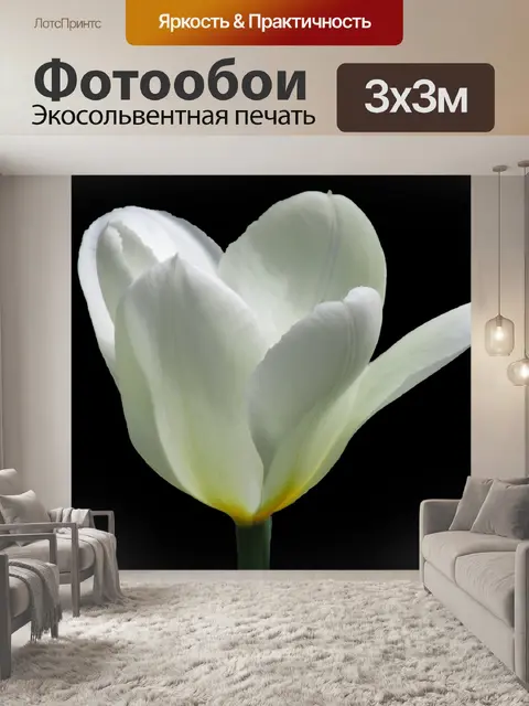 Фотообои Белый
