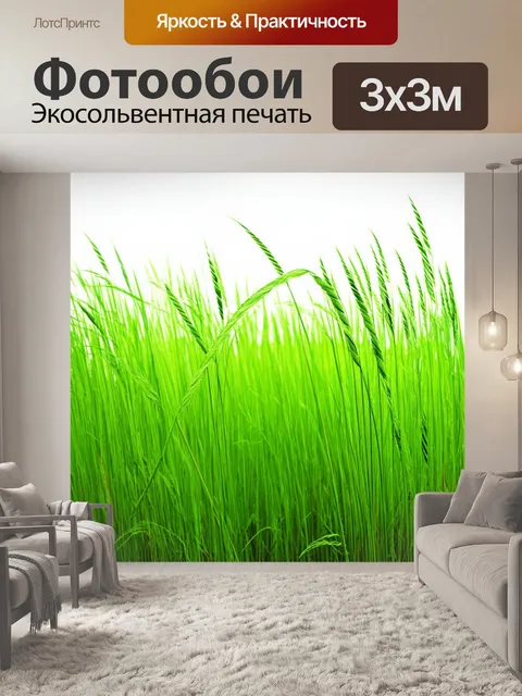 Фотообои зеленые в стиле однострочный рисунок, высокие травы, легкость и свобода, ветер в линии, свежесть весны