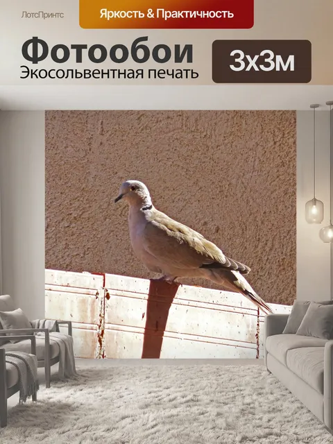 Фотообои Горлица