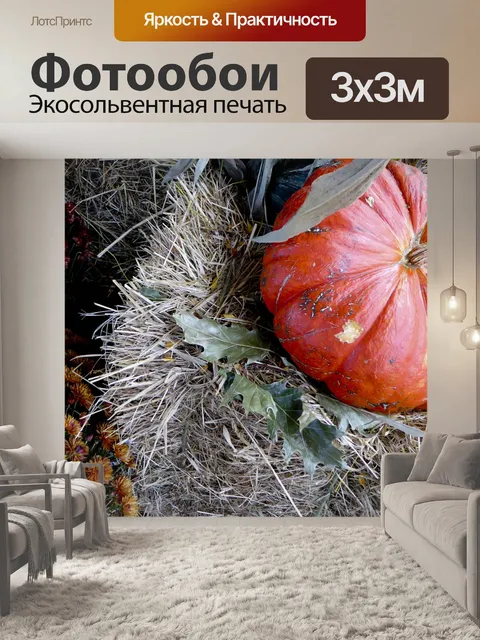 Фотообои вид сверху тыквы