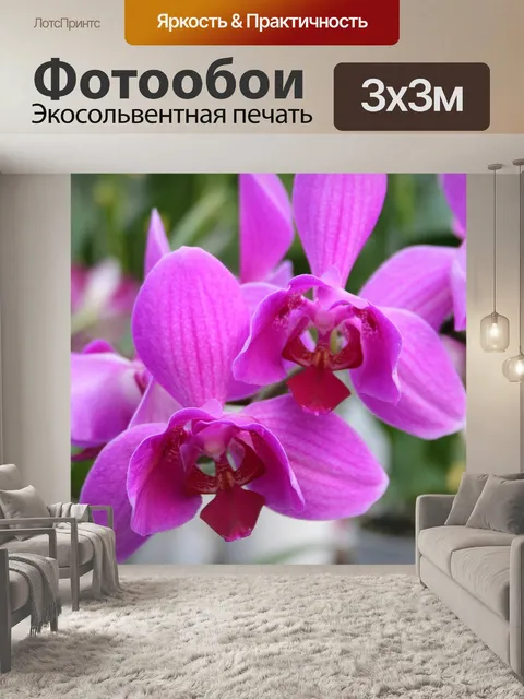 Фотообои Розовая орхидея