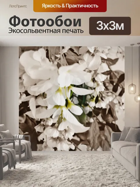 Фотообои Черно-белых орхидей