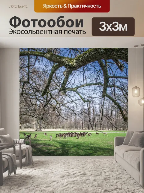 Фотообои Стадо