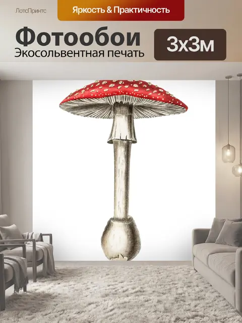 Фотообои Винтаж Клипарт Гриб Чемпион
