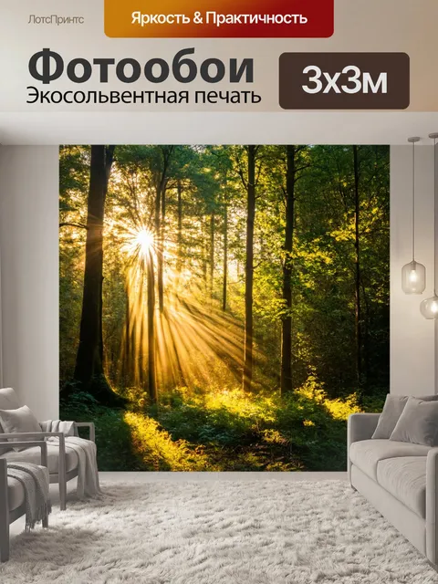 Фотообои лес в утреннем свете, солнечные лучи пробиваются сквозь листву