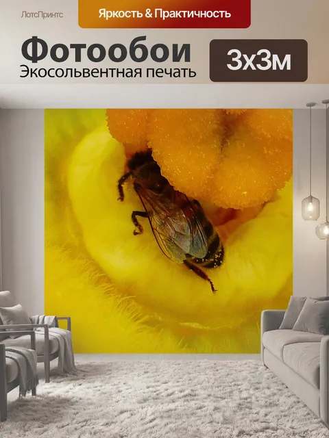 Фотообои Насекомое