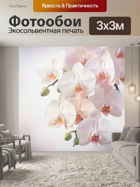 Фотообои Нежные бело-розовые орхидеи