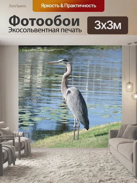Фотообои Птица