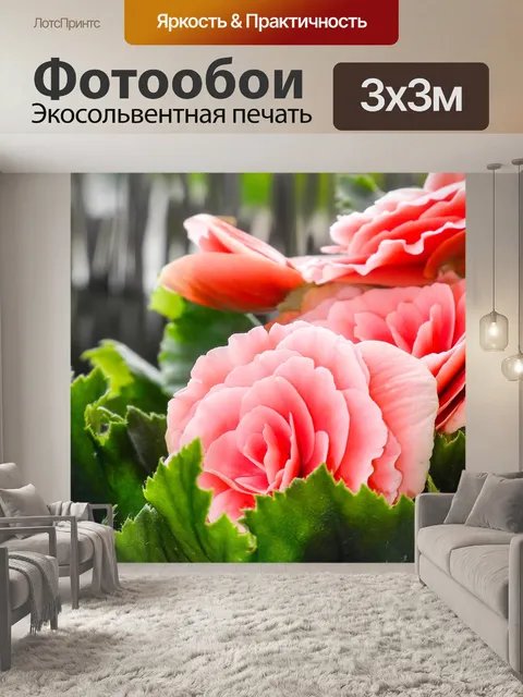 Фотообои Роза