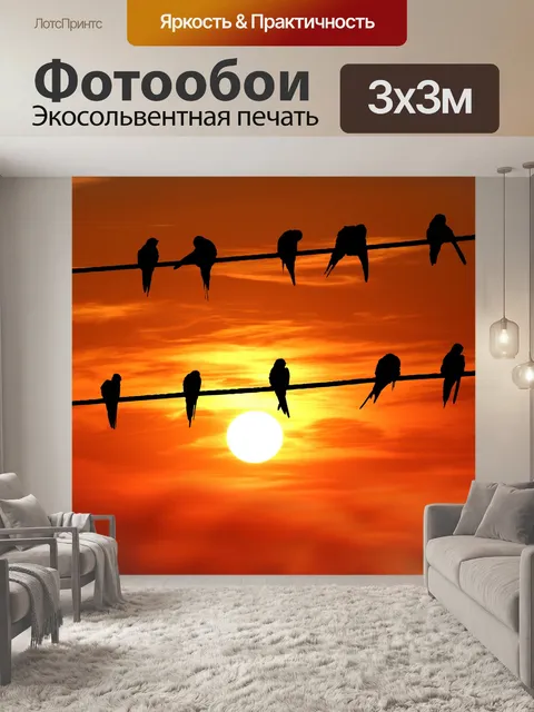 Фотообои Птицы на проводе Закат