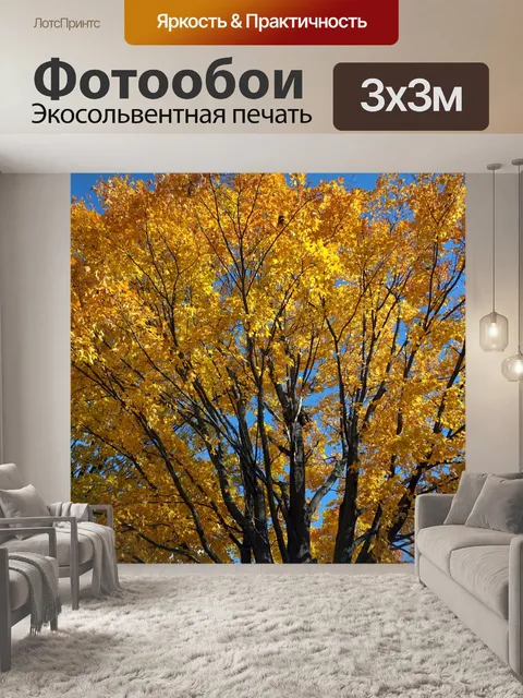Фотообои Падение