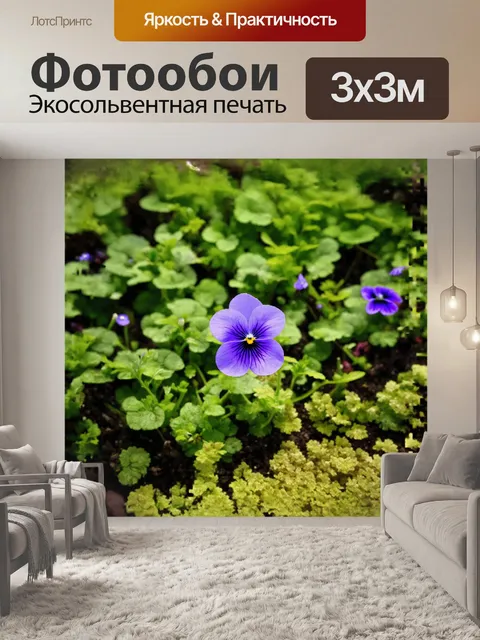Фотообои анютины глазки, которые цветут в саду, можно сфотографировать с помощью техники тайм-лапс, чтобы показать…