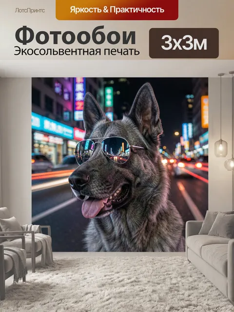 Фотообои Серый немецкий овчар с выражением дружелюбной спокойной радости