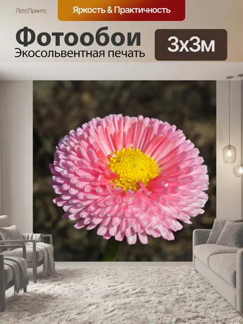 Фотообои Дейзи