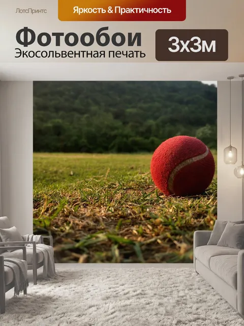 Фотообои Мяч
