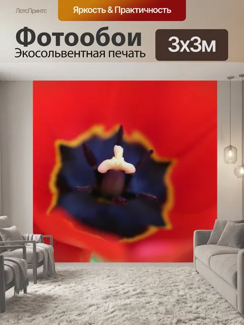 Фотообои Мак