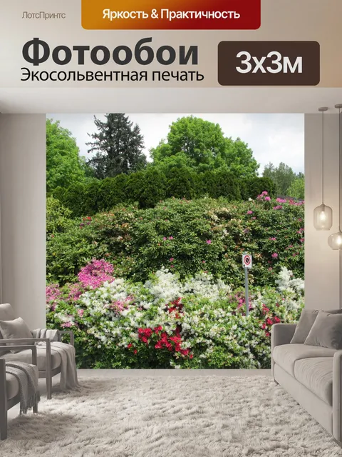 Фотообои красивые цветы