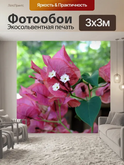 Фотообои розовый цветок куст