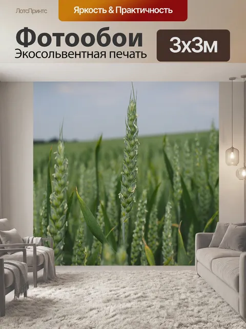 Фотообои Пшеничное поле