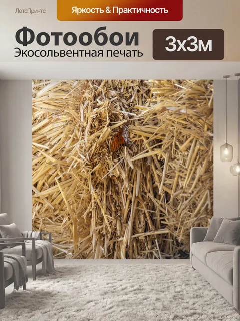 Фотообои Бабочка на сене