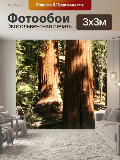 Фотообои Гигантские секвойи в Йосемити