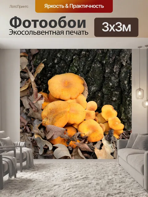 Фотообои Оранжевые грибы и осенние листья