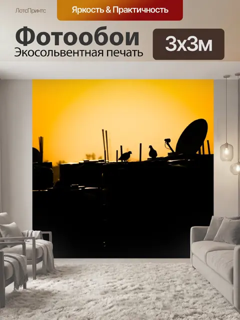Фотообои Пара голубей