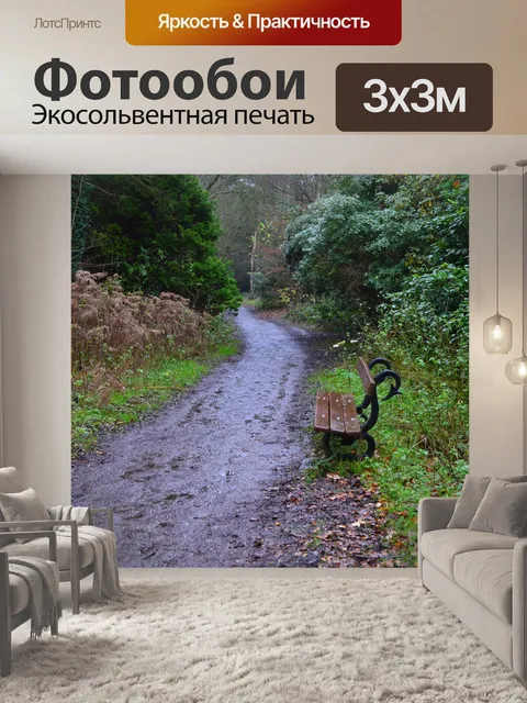 Фотообои Скамейка в лесу