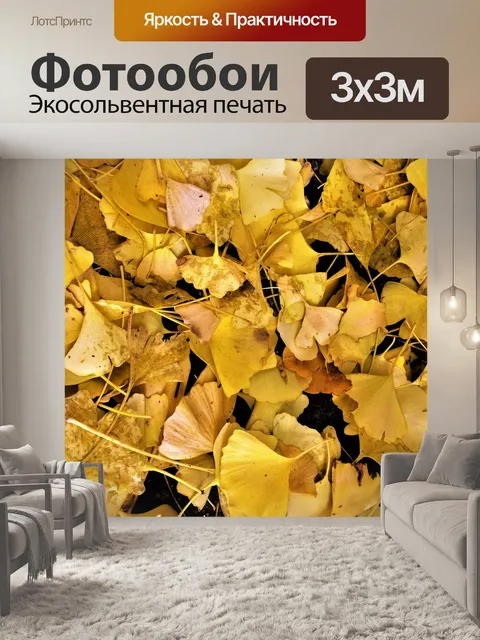 Фотообои Гинкго дерево