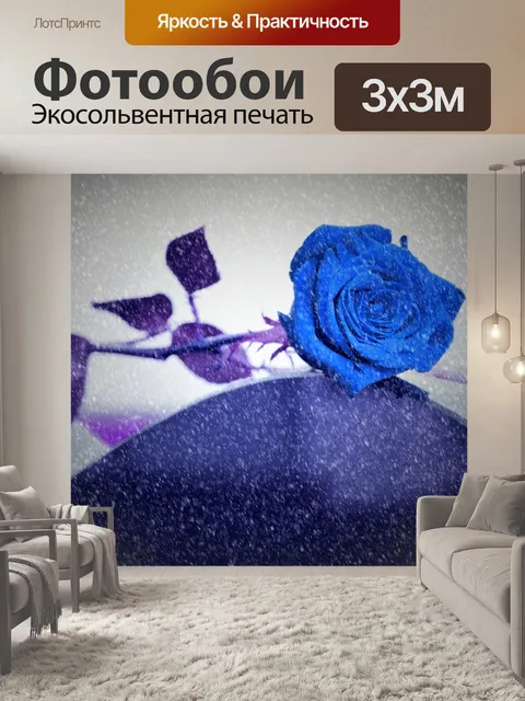 Фотообои Голубая роза на могиле