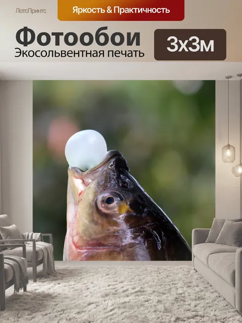 Фотообои Рыба