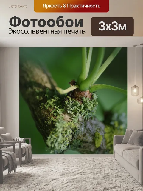 Фотообои Дерево