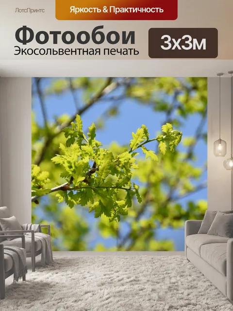 Фотообои Листья дуба