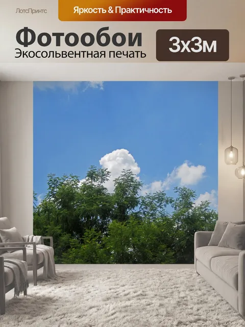 Фотообои корона зеленого дерева против неба
