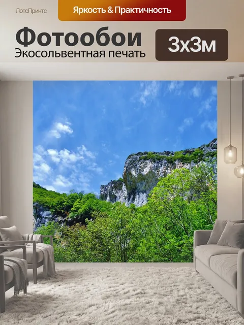 Фотообои Падение друаза