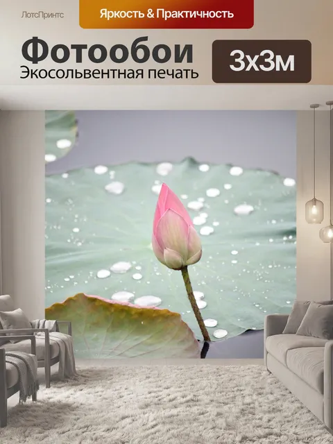Фотообои Цветок лотоса бутон и старых листьев