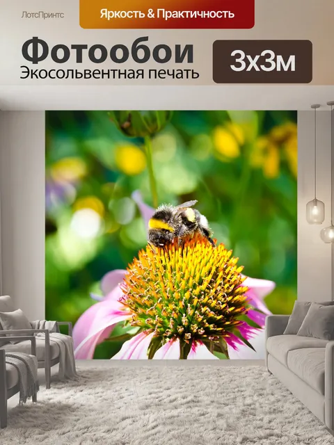 Фотообои Пчела