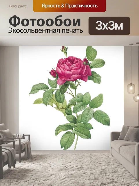 Фотообои Роза цветок старинная картина