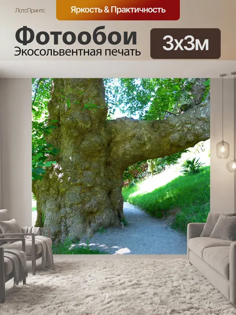 Фотообои Ствол дерева